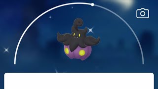 EVOLVING SHINY PUMPKABOO pumpkaboo pokemongo pokemon [upl. by Eilra]