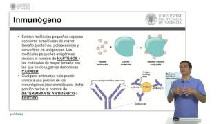 Antígenos y Anticuerpos  225  UPV [upl. by Vani]