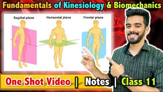 Fundamentals of Kinesiology and Biomechanics in Sports  Class 11  Unit  8  FREE Notes 🔥 [upl. by Eatnoed]