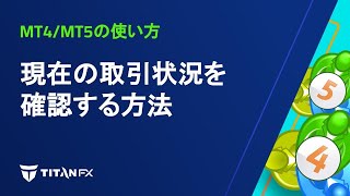 【MT4MT5】現在の取引状況を確認する方法 [upl. by Patt328]