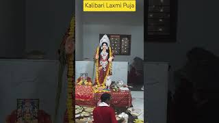 Kalibari Laxmi Puja kalibari ahmedabad laxmi puja [upl. by Atims]