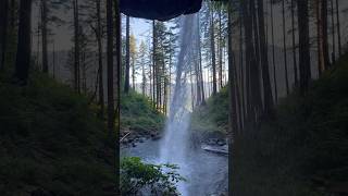 Great views from under Ponytail falls Oregon USA [upl. by Durtschi739]