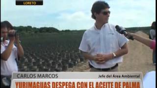 Yurimaguas despega con el aceite de palma [upl. by Delgado]