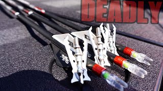 This Bow Hunting Broadhead Is Deadly For Deer [upl. by Lancaster]