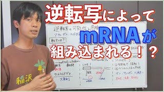 【逆転写で挿入されるのか？】あの論文を解説しつつその可能性とガンなどの危険性について考える [upl. by Heyde]