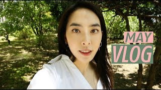 🌸프랑스어 브이로그MAY VLOG자작곡  Bonne Nuit 본뉘 [upl. by Anirol]