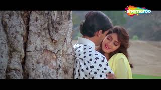 दिल दीवाना ढूंढ रहा है मेरे रूठे यार को  Chand Ka Tukda 1994  Salman Khan Sridevi  90s Song [upl. by Siegel]