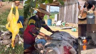 FERIADO NA FAZENDA TORRESMO FRANGO CAIPIRA LEITE… MUITA DIVERSÃO E FARTURA 🙏🏽 [upl. by Winnie]