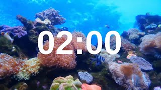 2 Minute Timer Relaxing Music Lofi Fish Background [upl. by Enidlarej]