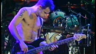 Red Hot Chili Peppers  Warped Live Reading Festival  England 1994 [upl. by Jeddy]