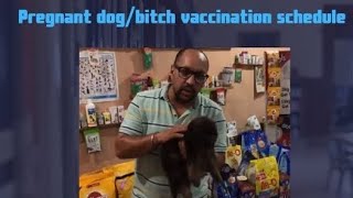 Mother Dog  Puppy  vaccination schedule [upl. by Ellmyer]