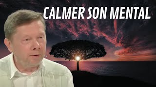 Comment se libérer du mental   Eckhart TOLLE [upl. by Gordan378]