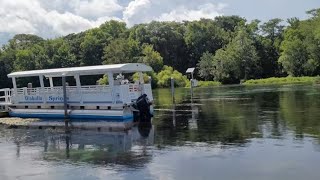 Boat Ride at Wakulla Springs Florida [upl. by Nannahs]