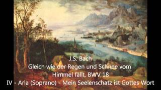 BWV 0018 04 Mein Seelenschatz ist Gottes Wort [upl. by Alyos]