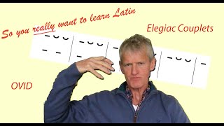 Latin 3 Lesson 46 Scanning Elegiac Couplets  So You Really Want to Learn Latin [upl. by Sugihara]