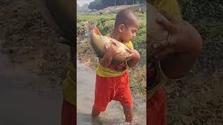 Amazing Hand Fishing Video Fish [upl. by Zetnauq663]