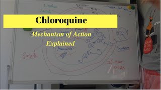 Antimalarial Drug Mechanism of Action  What is Chloroquine [upl. by Yrannav]