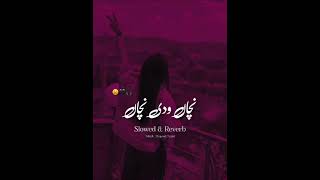 Nacha Nacha🥰New Saraiki Song Slowed and Reverb💯Ameer Niazi [upl. by Lilah]