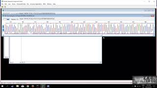 Tutorial Bioedit [upl. by Adnyleb]