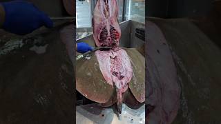 Big Stingray Fish Fastest Remove Skin Cuttingshorts [upl. by Screens]