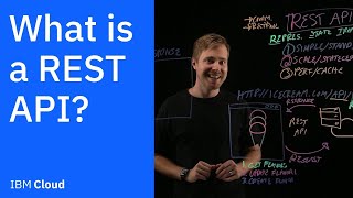 What is a REST API [upl. by Leasi]