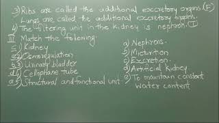 Biology  Lesson 5  excretory system  objectives  ICSE [upl. by Gilchrist372]