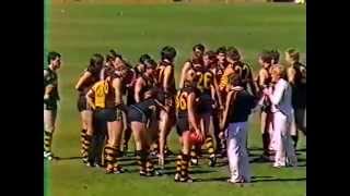 1985 SANFL Grand Final  Glenelg vs North Adelaide [upl. by Aifoz933]