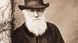 Planet Wissen  Charles Darwin und die Artenvielfalt [upl. by Morlee]