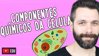 COMPONENTES QUÍMICOS DA CÉLULA Biologia com Samuel Cunha [upl. by Aened]