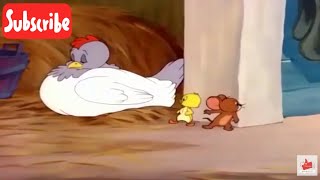 Tom and Jerry Fandubs Downhearted Duckling [upl. by Callum279]