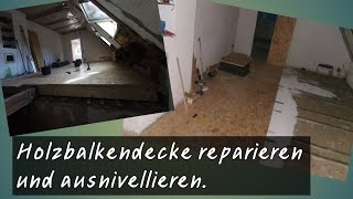 Erstmal alles raus und Zwischendecke reparieren [upl. by Patterson867]