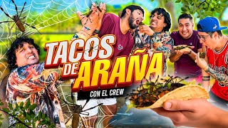 Los tacos más exóticos que hemos probado con el crew  qué tal saben [upl. by Allimrac]