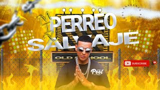 MIX PERREO SALVAJE🔥😈Top clásicos del reggaetonPorqueTe demorasBailamorenaGasolina DEEJAYPOOL [upl. by Scrogan]