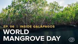 Episode 6  Inside Galápagos  Lindblad Expeditions [upl. by Bogoch]