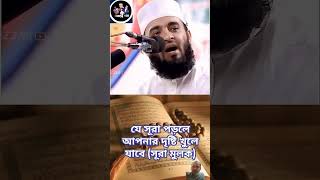 nobopreron mizanurrahmanazhari waz islamicstatus viralvideo foryou wazmahfil islamicvideo [upl. by Caines]