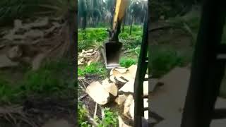 Excavator Chipping Pokok Sawit Setajam Silet ciping excavator replanting [upl. by Aleak]