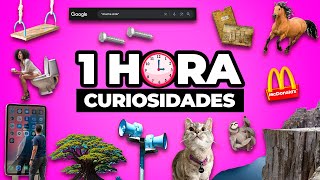 ¡1 HORA De DATOS CURIOSOS y COSAS QUE NO SABÍAS ⏰😲 28 [upl. by Sinnod]