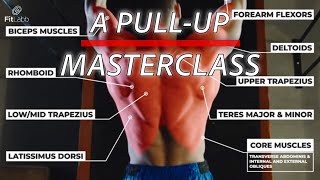 DO THIS FOR SAFE AND EFFECTIVE PULLUP GAINS  The science behind pullups [upl. by Hcurab303]