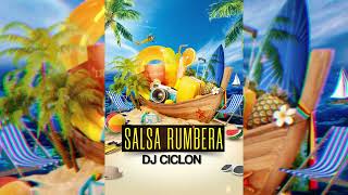 Salsa Rumbera Vol 3 SOLO Experto En Salsaquot  mix by DJ CICLON [upl. by Dahaf]