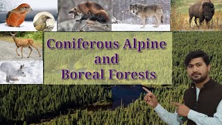 Coniferous Alpine and Boreal Forests  Fsc Biology class 12 [upl. by Riancho]