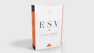 The ESV Study Bible A Look Inside [upl. by Girovard]