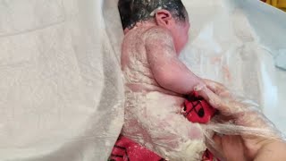 Newborn baby just after birth only few seconds old covered in Vernix Caseosa babiesvideos video [upl. by Xylia623]