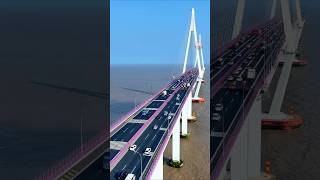 Expansion Gaps of bridge  🤷🤯 facts knowledge science respect safety amazing youtubeshorts [upl. by Annadiana]