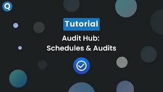 Audit Hub  Schedules amp Audits [upl. by Ylrad]