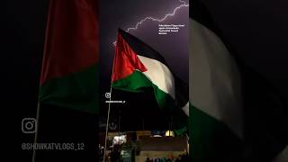 Palestinian flags raised at Imambada Ayatullah Yousuf Bemina [upl. by Aimit]