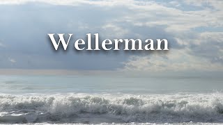 Wellerman  Sea Shanty Lyrics [upl. by Inkster]