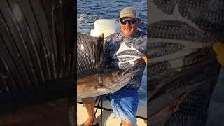 Going Wahoo fishing on Sunday Sailfish are on the menu too wahoo wahoofishing BlackBartLures [upl. by Oiled]