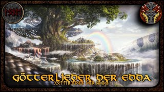 Götterlieder der Edda  Germanische Mythologie 94 [upl. by Suiratnod543]