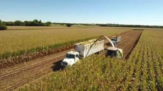 Corn Silage 2016 [upl. by Dietsche851]