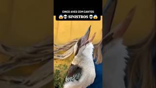 😱💀😱 AVES com CANTOS SINISTROS Pássaros fazendo sons assustadores [upl. by Baese]